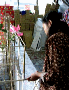 img40.gif