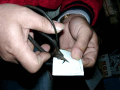 img41.gif