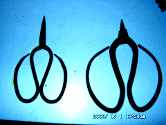 img6.gif