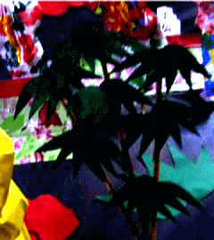 img76.gif