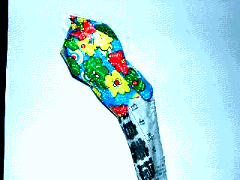 img79.gif