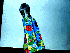 img81.gif